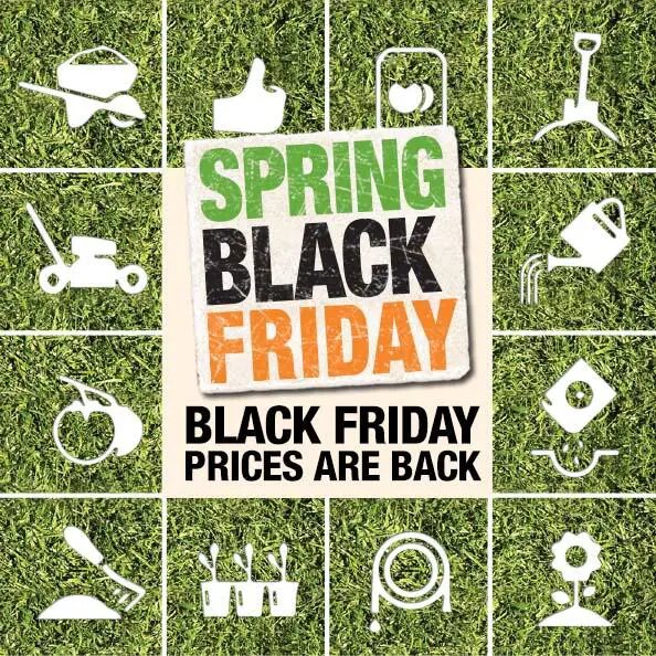 Spring Black Friday 2021 Sale Get Amazing Deals & Offers Here