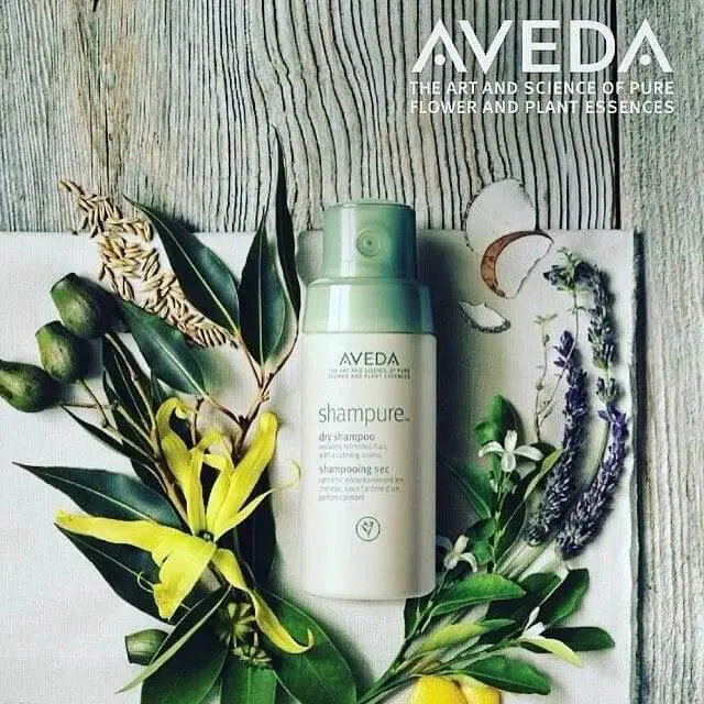 Aveda Black Friday Deals