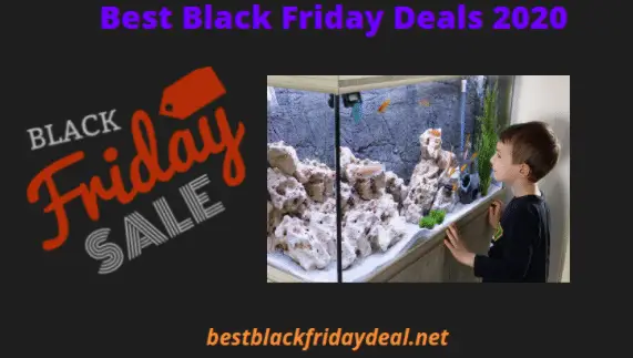 Aquarium Black Friday 2021 Deals Get the amazing