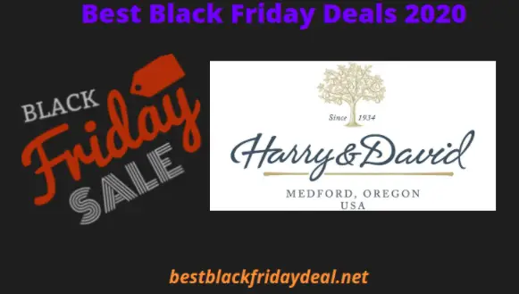 Harry and David Black Friday 2020
