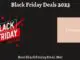 Third Love Black Friday 2023 Sale