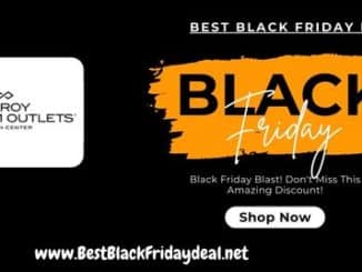 Gilroy Premium Outlets Black Friday 2024 Deals