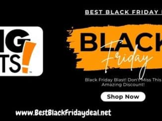 Big Lots Black Friday Sale