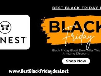 Honest Company Black Friday Deals